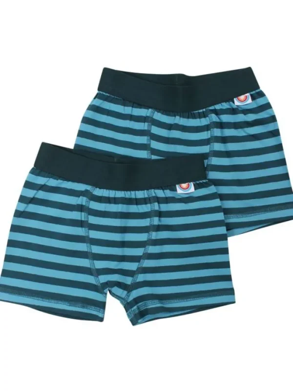 BIFROST - 2Pak Underwear Boys Dark Duck/Aqua Ice