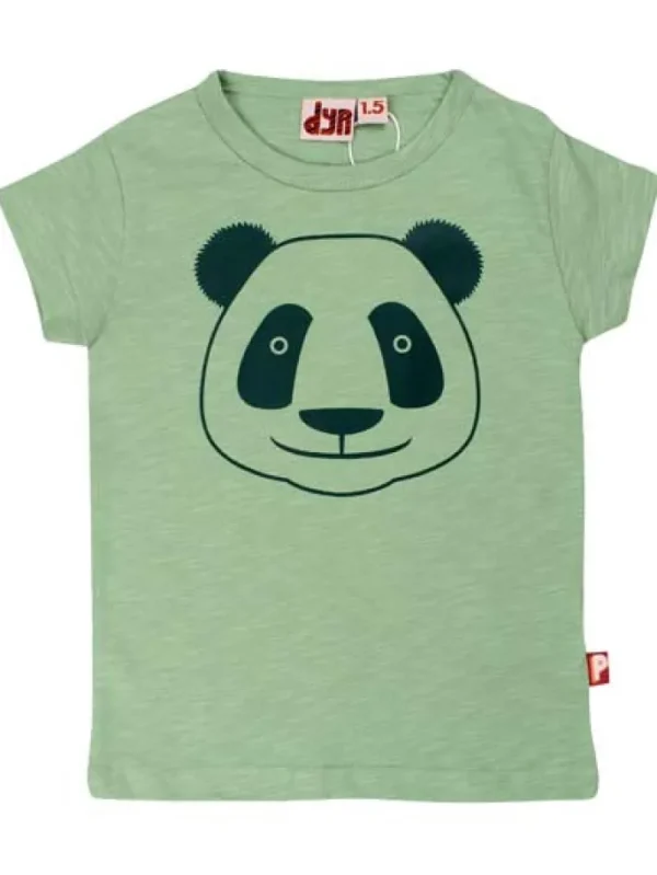 Cub Baby T Light Sage PANDA