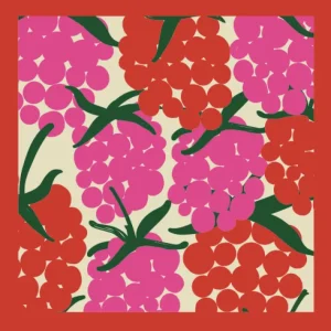 Danebandana's MAXIBERRY