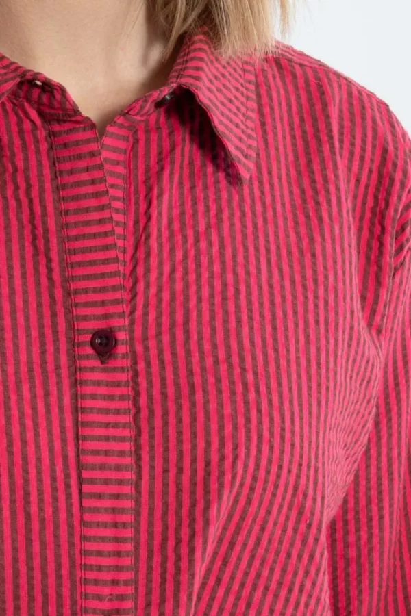 Daneclassic Searsucker Shirt Dark Bordeaux/Power Pink