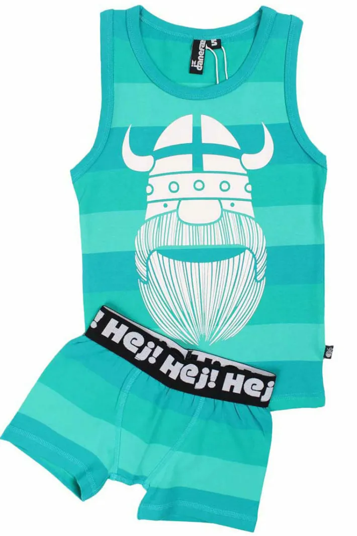 danehvalpe_set_equatorial_0.webp Danehvalpe Set Equatorial ERIK