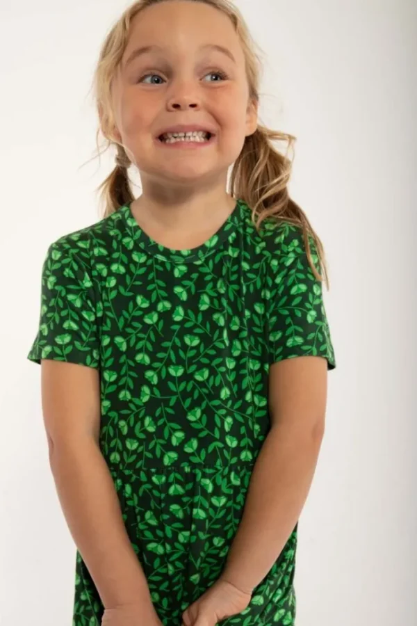 Danelollipop Dress SS Green FLEURIE