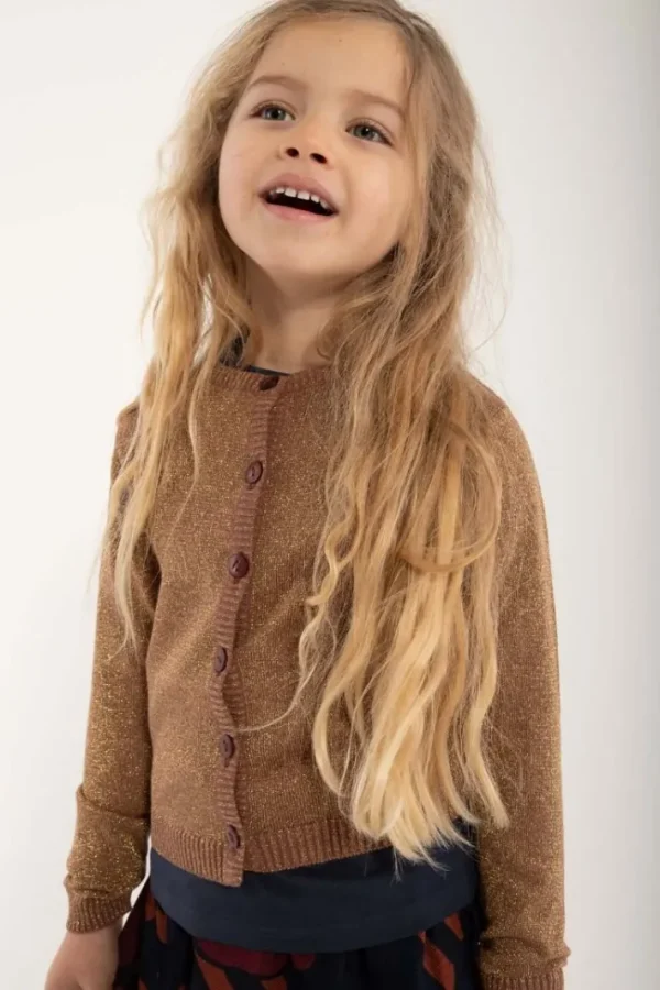 Danemerle Cardigan Beige Rose w. Gold Glitter