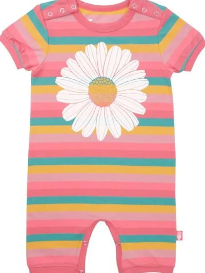 danemistral_suit_miami_da_0.webp Danemistral Suit Miami DAISY