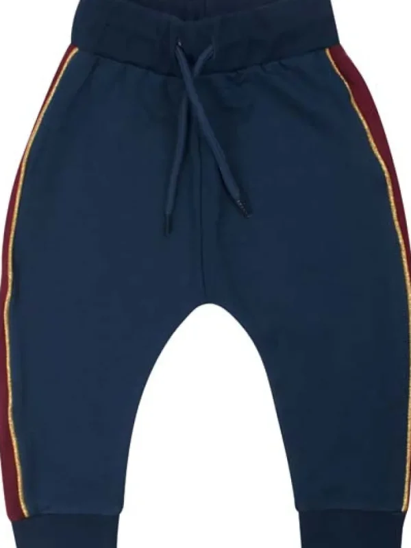 Danesilver pants Deep Ocean/Drk Bdx