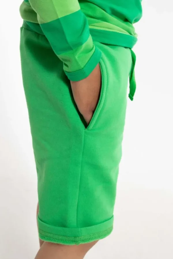 Danotter Shorts Spring Green