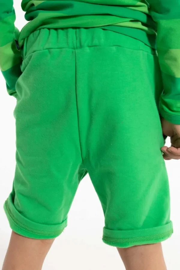 Danotter Shorts Spring Green