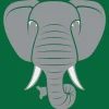 DYR Postcard Green ELEFANT