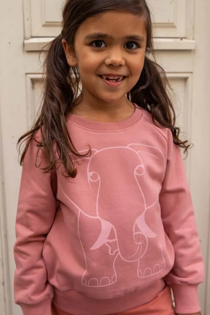 dyrbellow_sweat_antique_r_0-3.webp Dyrbellow Sweat Antique Rose OUTLINE ELEFANT