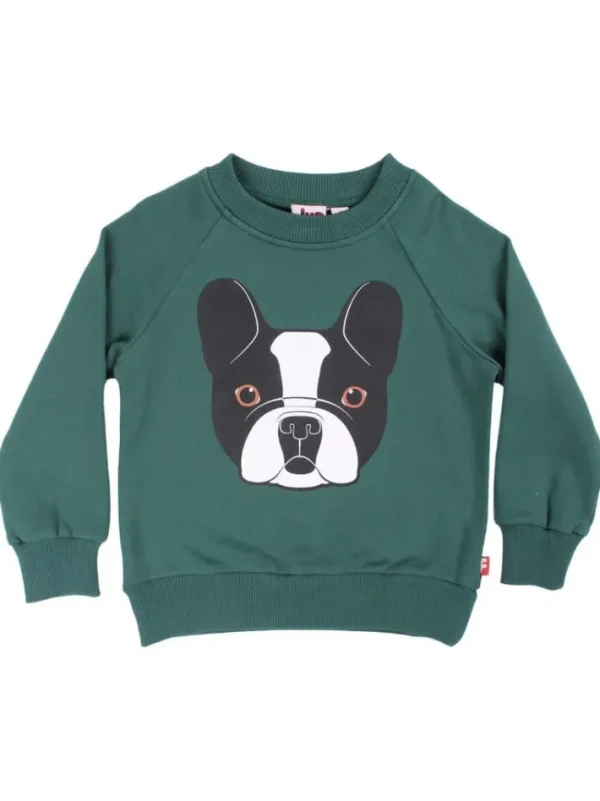 Dyrbellow Sweat Army FRENCHIE