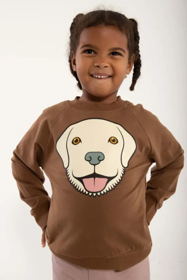 Dyrbellow Sweat Brown Beige RETRIEVER