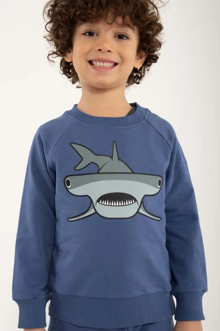 dyrbellow_sweat_cold_blue_0-2.webp Dyrbellow Sweat Cold Blue HAMMERHAJ