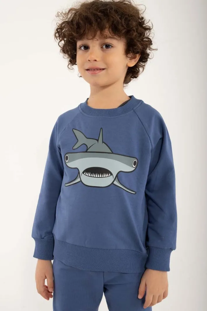 dyrbellow_sweat_cold_blue_1-1.webp Dyrbellow Sweat Cold Blue HAMMERHAJ