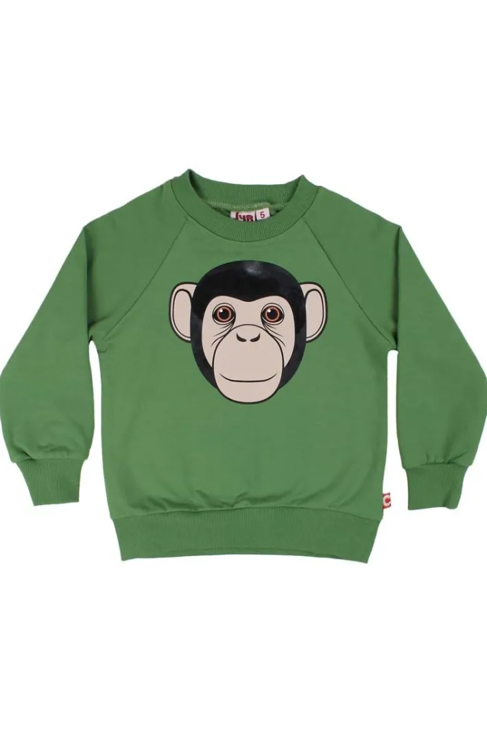dyrbellow_sweat_fall_jung_0.webp Dyrbellow Sweat Fall Jungle CHIMP