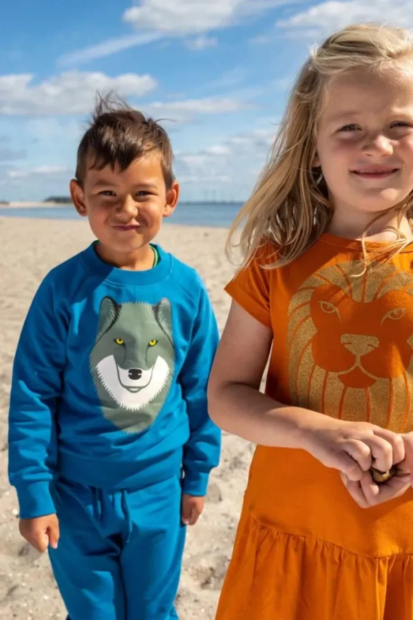 Dyrbellow Sweat NOOS Dusty Blue ULV