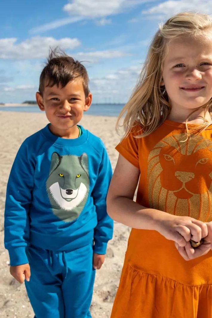 dyrbellow_sweat_noos_dust_3.webp Dyrbellow Sweat NOOS Dusty Blue ULV