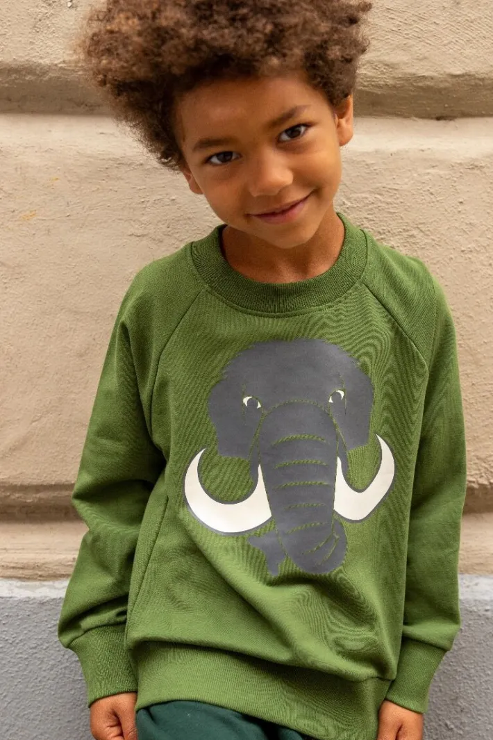 dyrbellow_sweat_noos_safa_0.webp Dyrbellow Sweat NOOS Safari MAMMUT