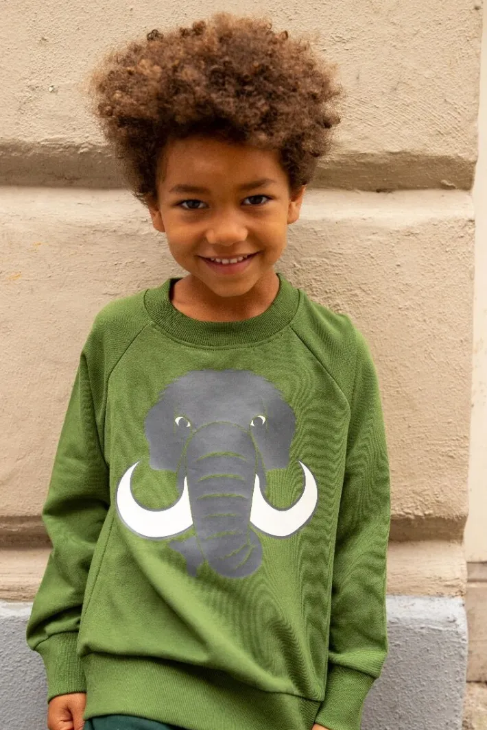 dyrbellow_sweat_noos_safa_2.webp Dyrbellow Sweat NOOS Safari MAMMUT