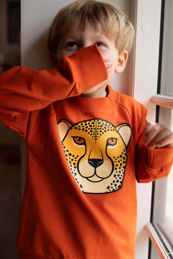 dyrbellow_sweat_pumpkin_g_2.webp Dyrbellow Sweat Pumpkin GEROPARD