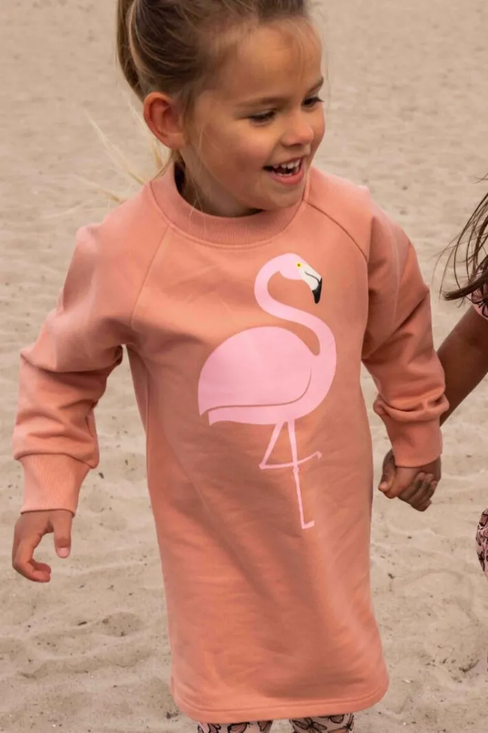 dyrfurry_sweat_dress_rose_0.webp Dyrfurry Sweat Dress Rose beige FLAMINGO