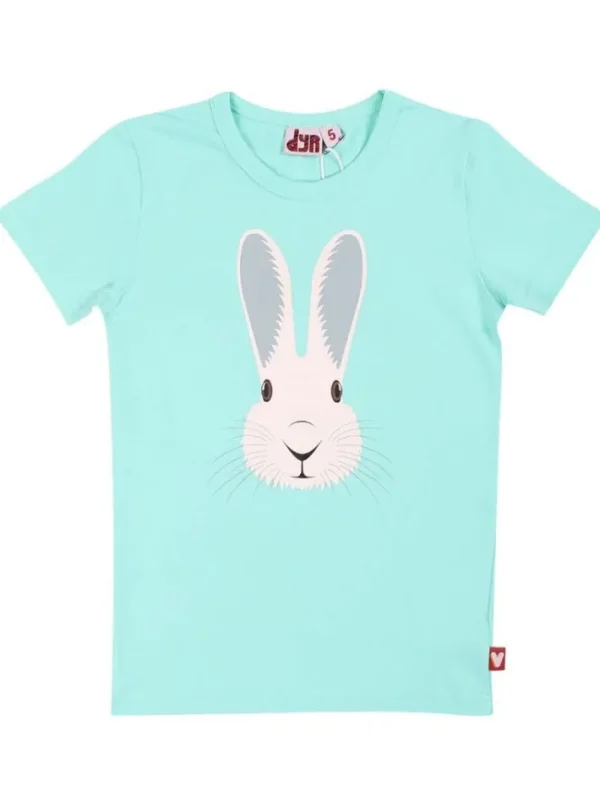 Dyrgrowl T Fresh Mint VILDKANIN