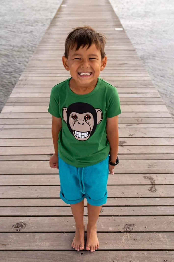 dyrgrowl_t__pine_chimp_0.webp Dyrgrowl T Pine CHIMP