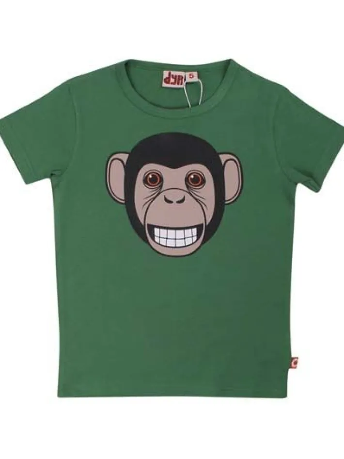 dyrgrowl_t__pine_chimp_1.webp Dyrgrowl T Pine CHIMP