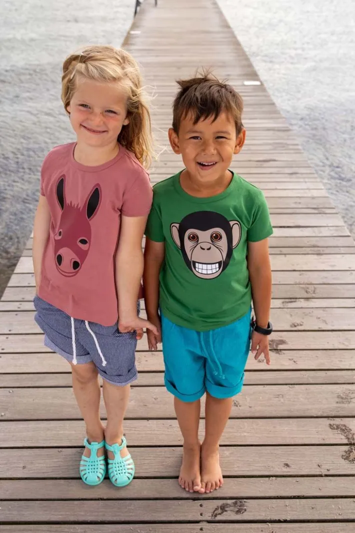 dyrgrowl_t__pine_chimp_3.webp Dyrgrowl T Pine CHIMP