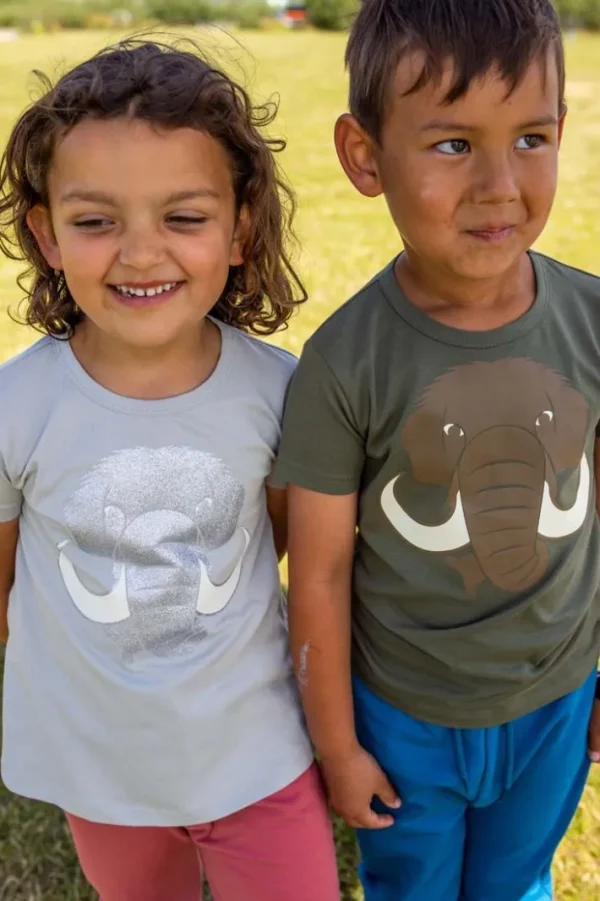 Dyrgrowl T Warm Grey MAMMUT