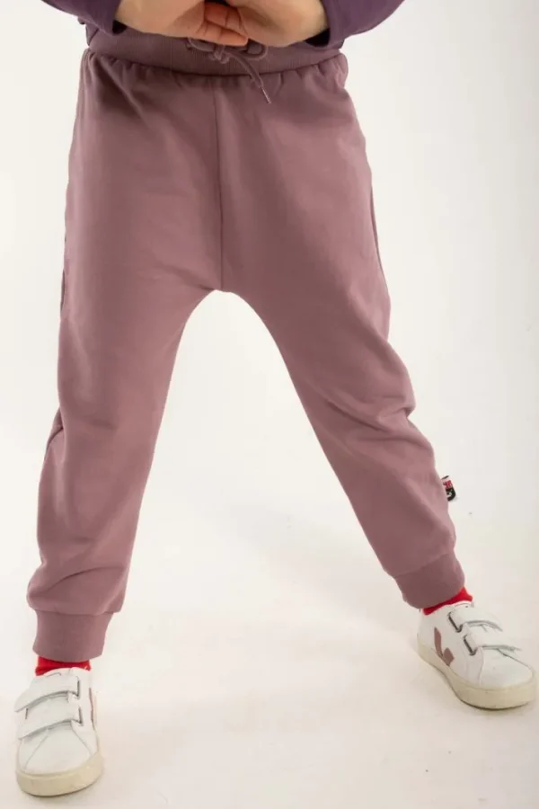 Dyrhiss Jog Clay Viola