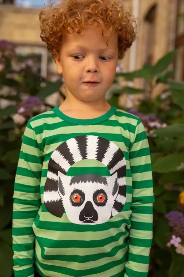 Dyrroar T AOP/STRIB Grass Green/Dusty Green KATTALEMUR