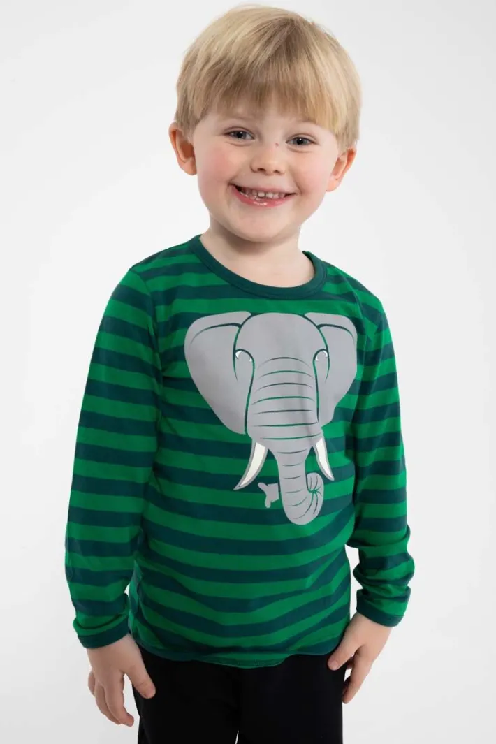 dyrroar_t_aopstrib_greend_1.webp Dyrroar T AOP/STRIB Green/Dark Duck ELEFANT