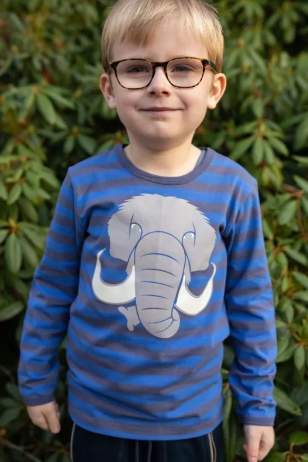 Dyrroar T AOP/STRIB Grey Marine/Royal Blue MAMMUT