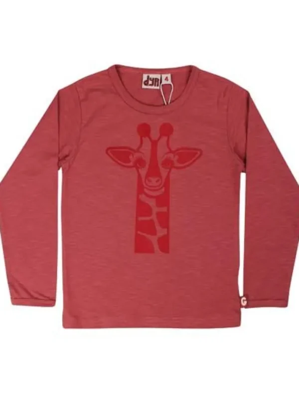 Dyrroar T Dark Rose GIRAF