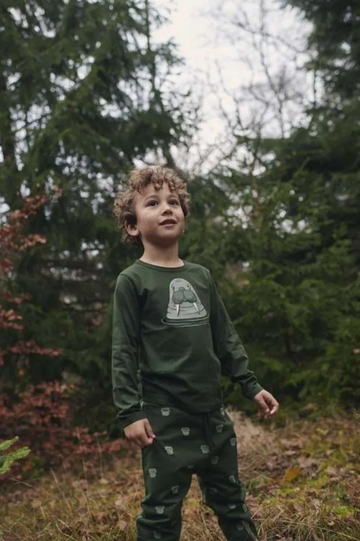 dyrroar_t_dk_safari_hvalr_0.webp Dyrroar T DK Safari HVALROS