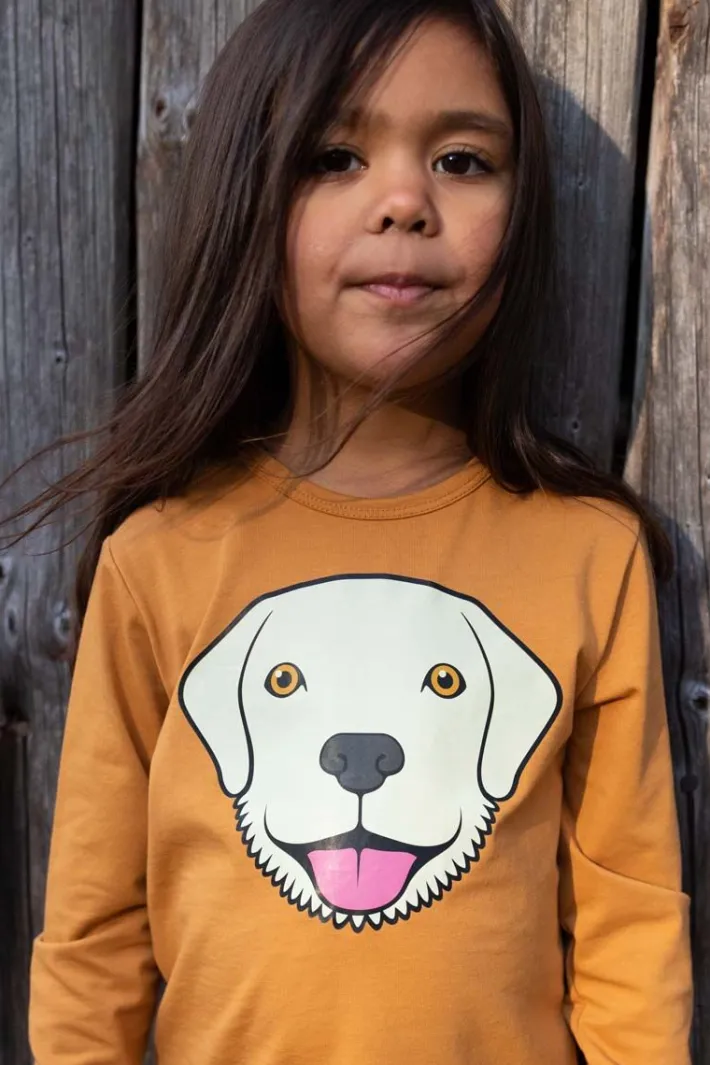 dyrroar_t_golden_honey_re_3.webp Dyrroar T Golden Honey RETRIEVER