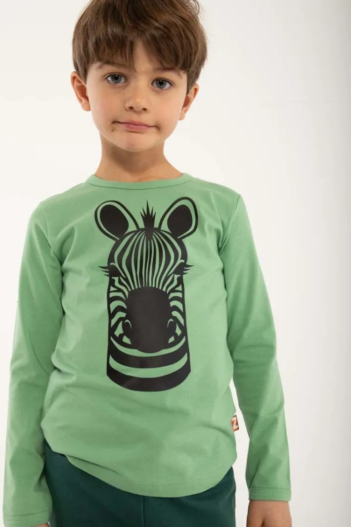 dyrroar_t_sage_zebra_0.webp Dyrroar T Sage ZEBRA