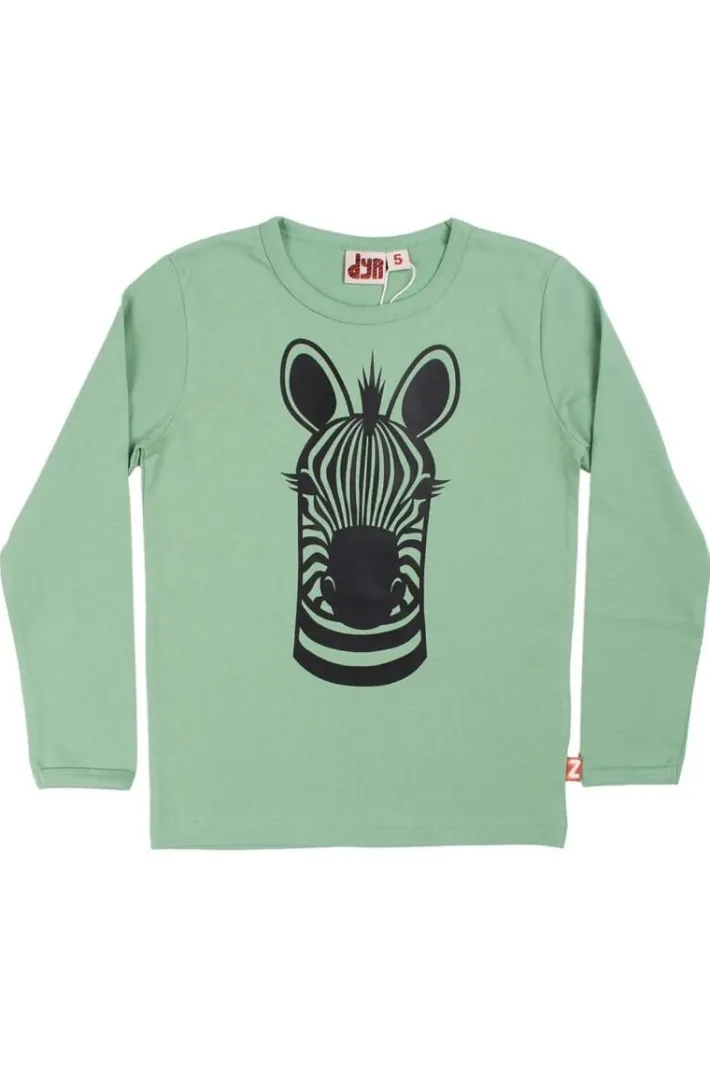 dyrroar_t_sage_zebra_1.webp Dyrroar T Sage ZEBRA