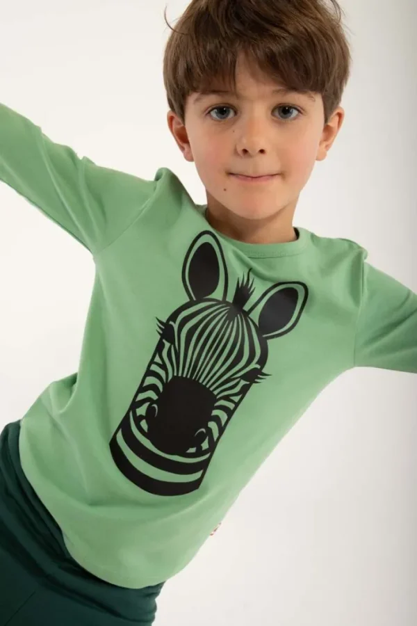 Dyrroar T Sage ZEBRA