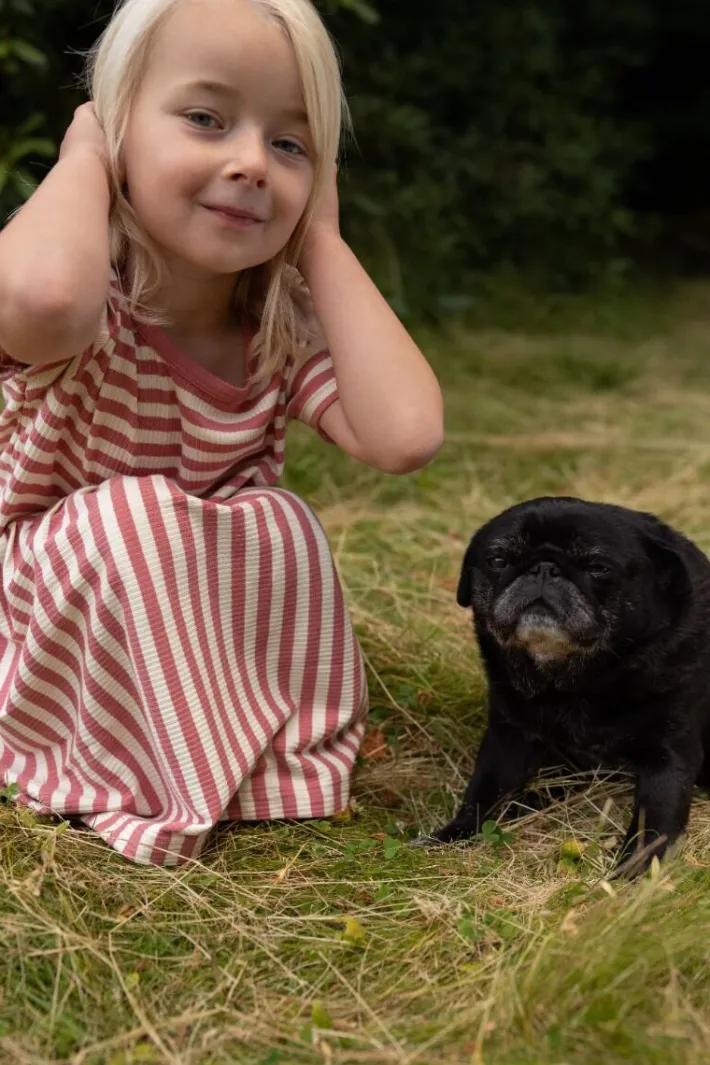 ess__daneslurpy_dress_old_1.webp ESS - Daneslurpy Dress Old Rose/Chalk