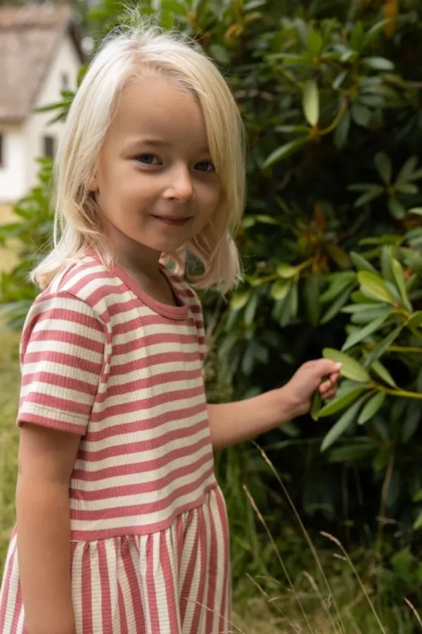 ESS - Daneslurpy Dress Old Rose/Chalk