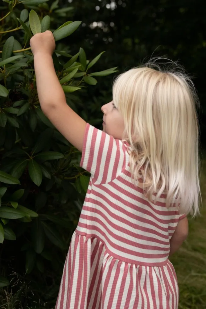 ess__daneslurpy_dress_old_4.webp ESS - Daneslurpy Dress Old Rose/Chalk