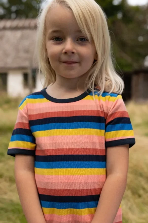 ESS - Danesoda Tee Longyearbyen