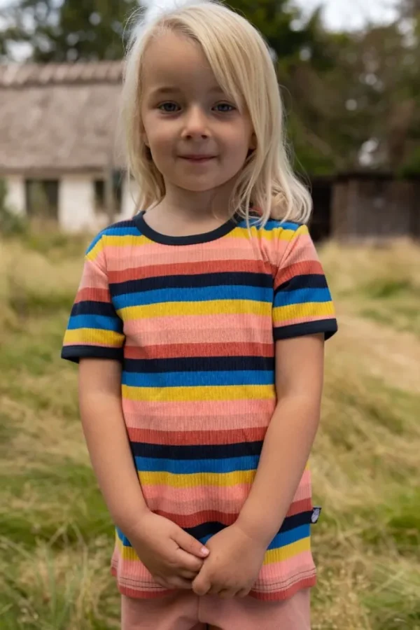 ESS - Danesoda Tee Longyearbyen