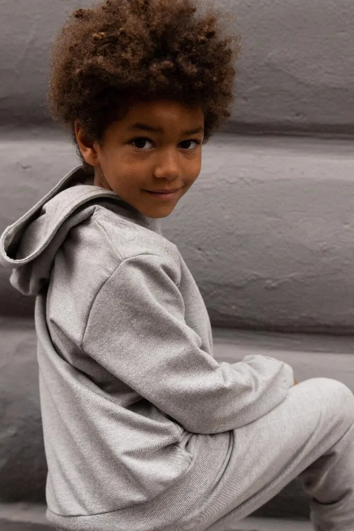 ess__organic_danefruit_ho_0.webp ESS - ORGANIC Danefruit Hoodie Heather Grey