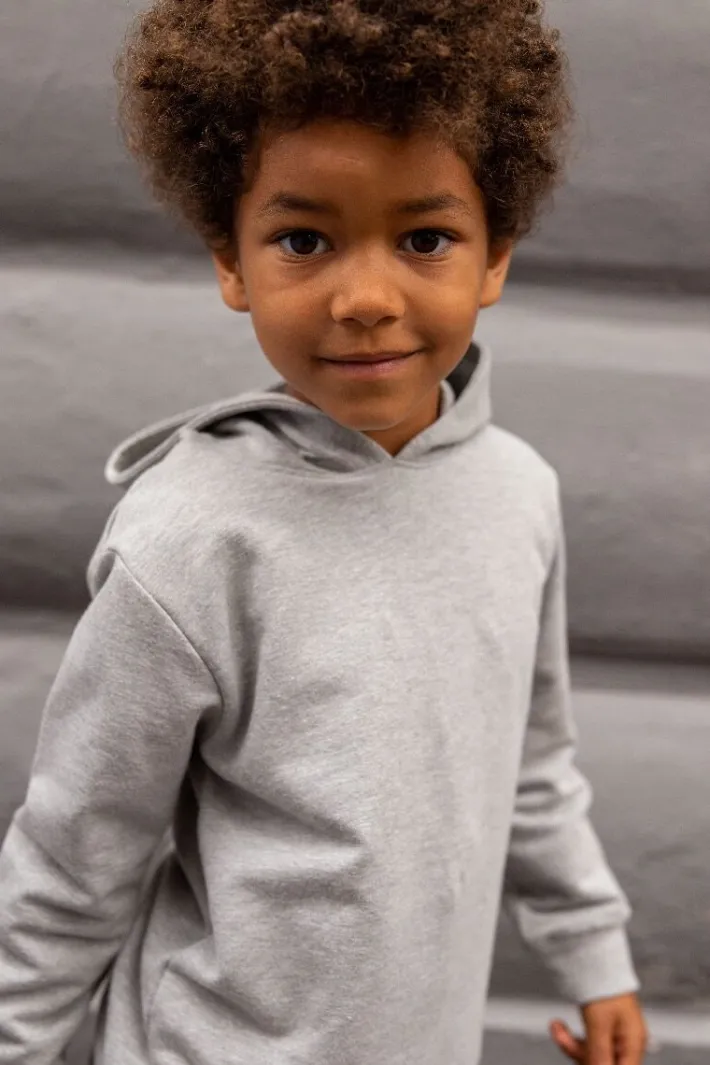 ess__organic_danefruit_ho_1.webp ESS - ORGANIC Danefruit Hoodie Heather Grey