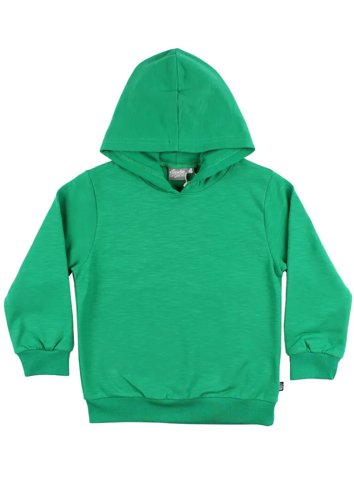 ess__organic_danefruit_ho_2-1.webp ESS - ORGANIC Danefruit Hoodie Green