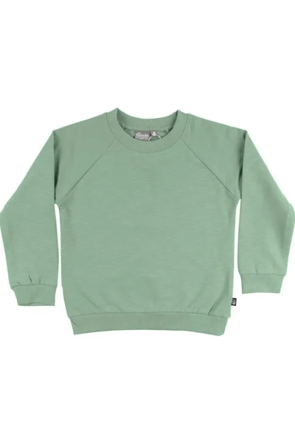 ESS - ORGANIC Danemineral Sweater Dry Sage
