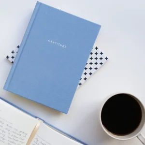 Kartotek Guided Journal Gratitude