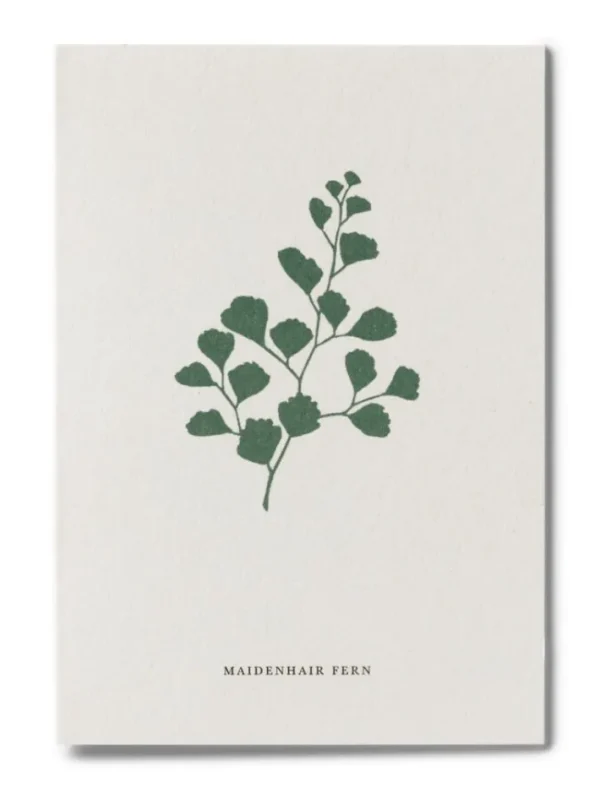 Kartotek Kort-A6 Fern
